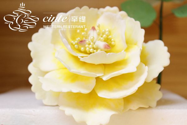 快连新闻